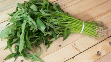 Manfaat Sayur Kangkung Untuk Ibu Hamil