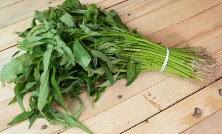 Manfaat Sayur Kangkung Untuk Ibu Hamil