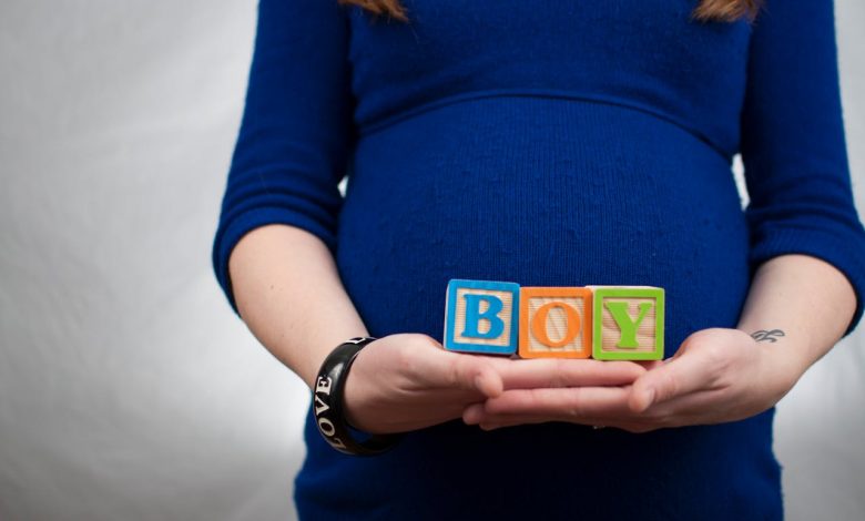 Makanan yang Baik Untuk Ibu Hamil Trimester Pertam